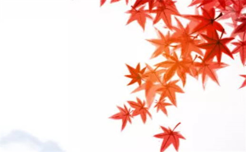 2027年农历三月廿四是不是动土吉日 动土吉利吗