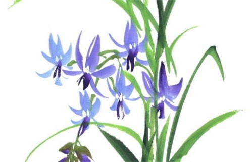 2026年11月13日动土黄道吉日 宜动土吉日查询