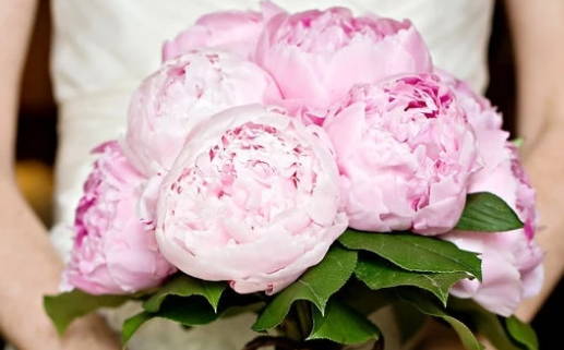 2029年08月24日结婚好吗 宜办喜事吉日查询