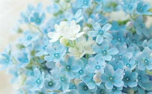 2028年09月06日结婚日子如何 今日办喜事好不好