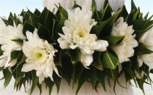 2028年11月22日结婚好不好 是办婚礼好日子吗