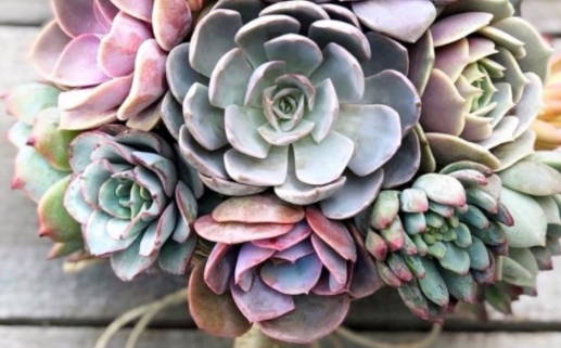 2029年03月27日结婚黄道吉日 是办喜事好日子吗