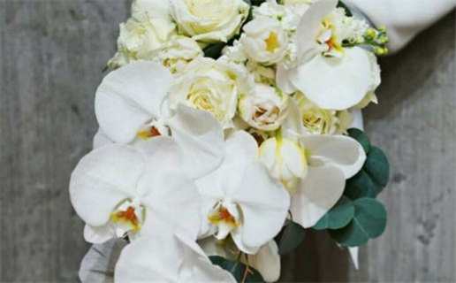 2027年02月23日领证日子如何 今日登记结婚好不好