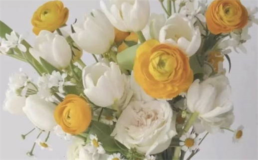 2026年11月21日是不是领证吉日 是领证好日子吗