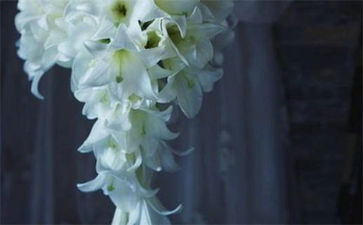 2026年农历冬月初五是领证好日子吗 宜登记结婚吉日查询