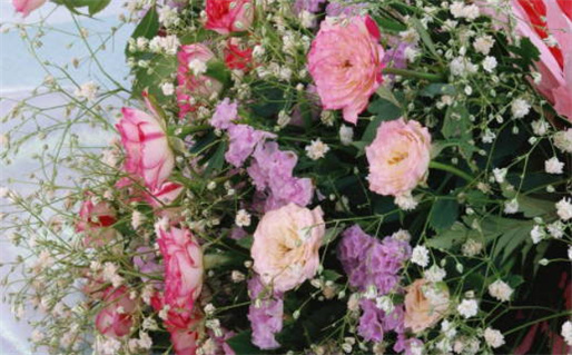 2027年08月03日领证吉日查询 今日领证结婚好不好