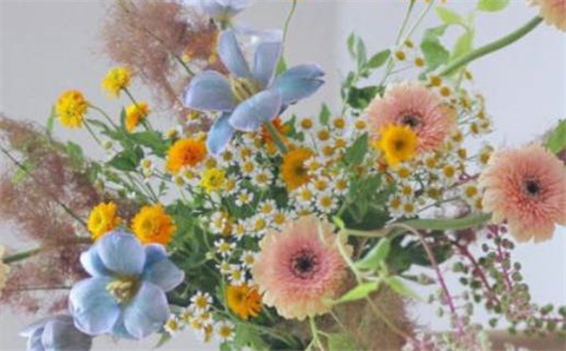 2027年农历正月初三是不是领证吉日 宜登记结婚吉日查询