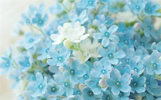 2026年12月28日是不是领证吉日 领证结婚吉利吗