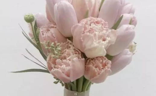 2026年11月20日领证好不好 宜登记结婚吉日查询