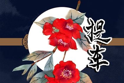 2026年11月20日提车吉日查询 提车吉利吗