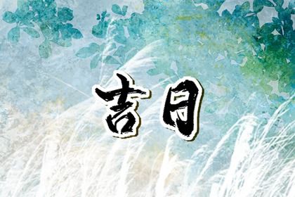 2025年08月25日提车吉日查询 宜买新车吉日查询