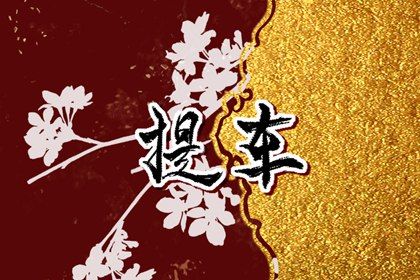 2025年07月23日提车日子如何 今日买新车好不好