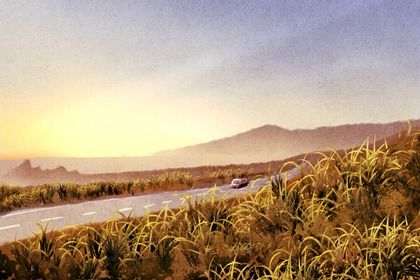 2027年04月29日是不是提车吉日 提车吉利吗