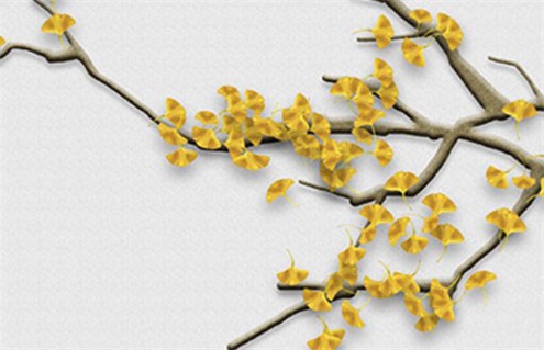 2026年农历九月初五装修日子如何 今日装修动工好吗