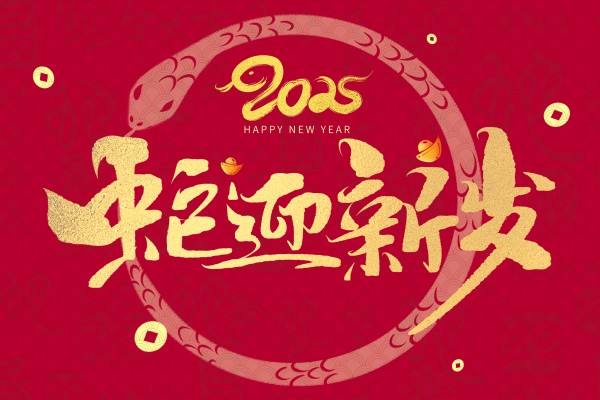 2025年十二月，十二生肖的奇妙之旅