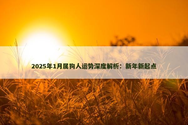 2025年1月属狗人运势深度解析：新年新起点
