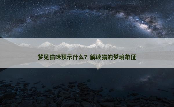 梦见猫咪预示什么？解读猫的梦境象征