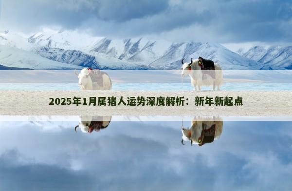 2025年1月属猪人运势深度解析：新年新起点