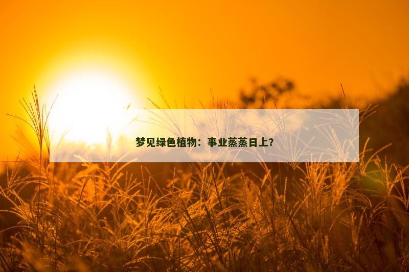 梦见绿色植物：事业蒸蒸日上？
