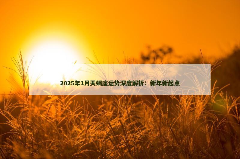 2025年1月天蝎座运势深度解析：新年新起点