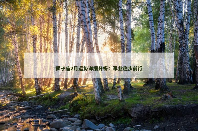 狮子座2月运势详细分析：事业稳步前行