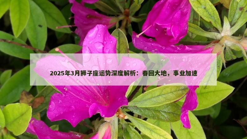2025年3月狮子座运势深度解析：春回大地，事业加速