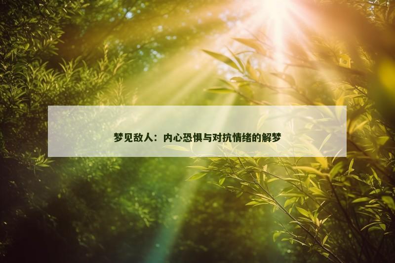 梦见敌人：内心恐惧与对抗情绪的解梦