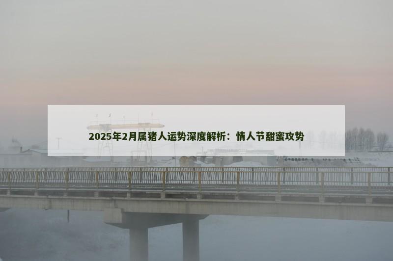 2025年2月属猪人运势深度解析：情人节甜蜜攻势
