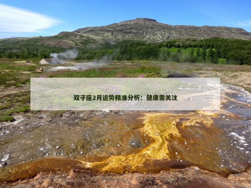 双子座2月运势精准分析：健康需关注