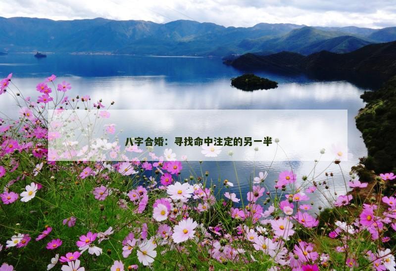 八字合婚：寻找命中注定的另一半