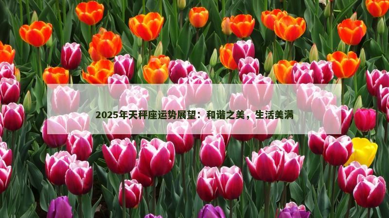 2025年天秤座运势展望：和谐之美，生活美满