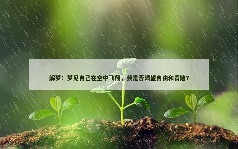 解梦：梦见自己在空中飞翔，我是否渴望自由和冒险？