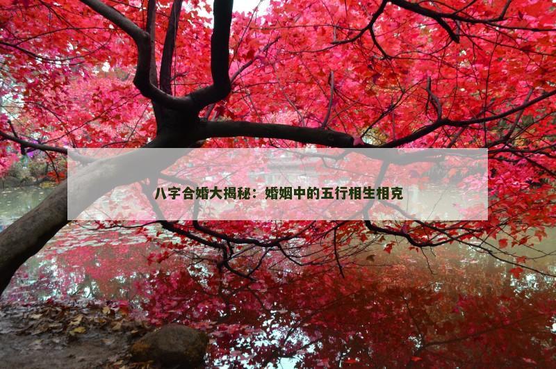 八字合婚大揭秘：婚姻中的五行相生相克