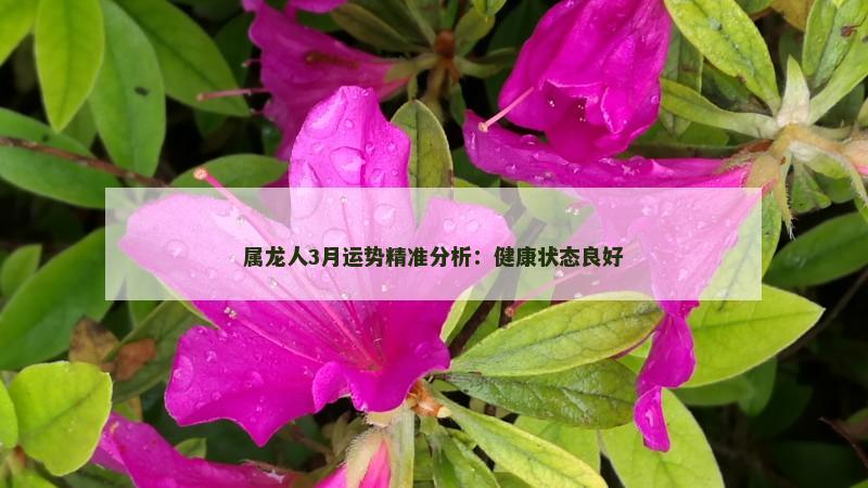 属龙人3月运势精准分析：健康状态良好