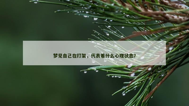 梦见自己在打架，代表着什么心理状态？