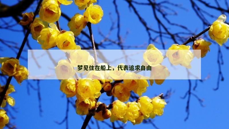 梦见住在船上，代表追求自由