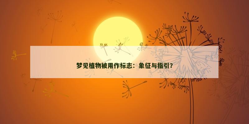 梦见植物被用作标志：象征与指引？