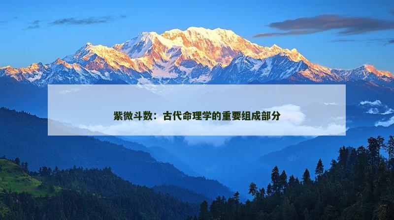 紫微斗数：古代命理学的重要组成部分