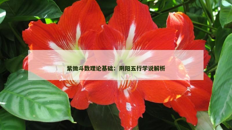 紫微斗数理论基础：阴阳五行学说解析