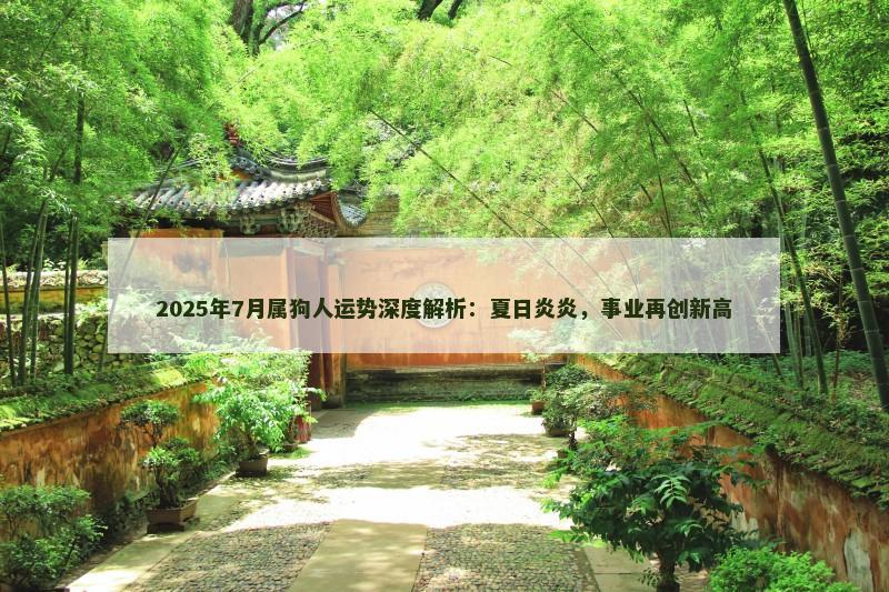 2025年7月属狗人运势深度解析：夏日炎炎，事业再创新高