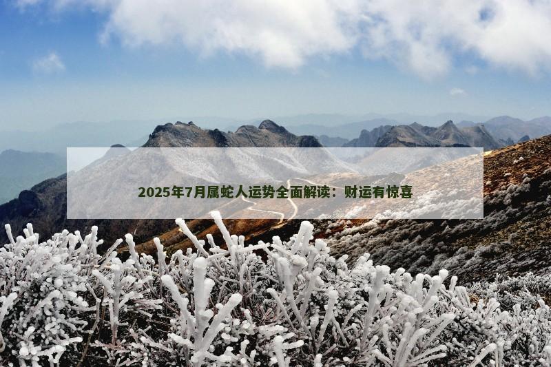 2025年7月属蛇人运势全面解读：财运有惊喜
