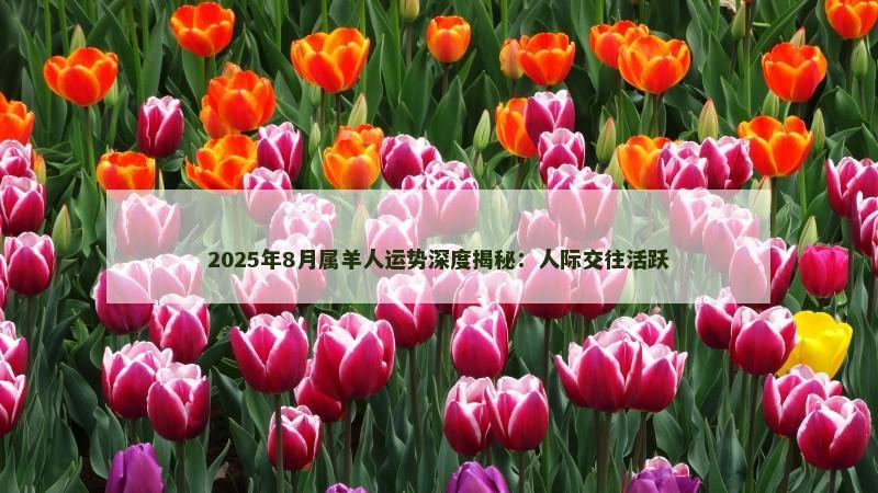 2025年8月属羊人运势深度揭秘：人际交往活跃
