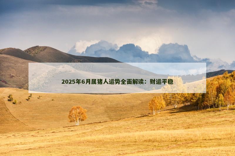 2025年6月属猪人运势全面解读：财运平稳
