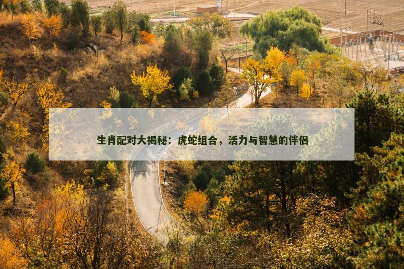 生肖配对大揭秘：虎蛇组合，活力与智慧的伴侣
