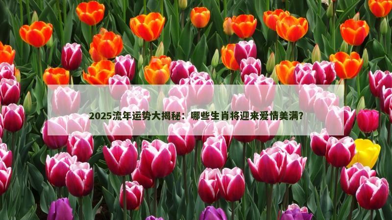 2025流年运势大揭秘：哪些生肖将迎来爱情美满？