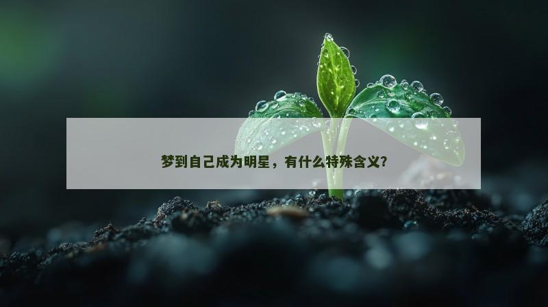 梦到自己成为明星，有什么特殊含义？