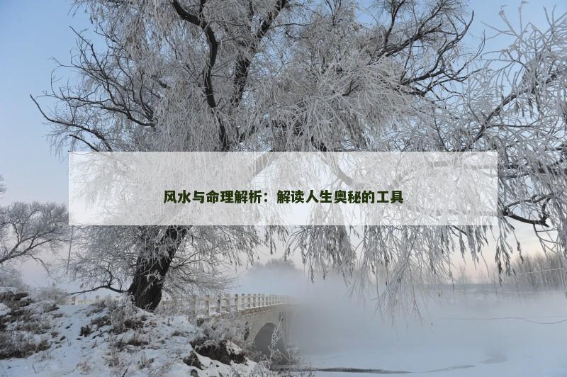 风水与命理解析：解读人生奥秘的工具