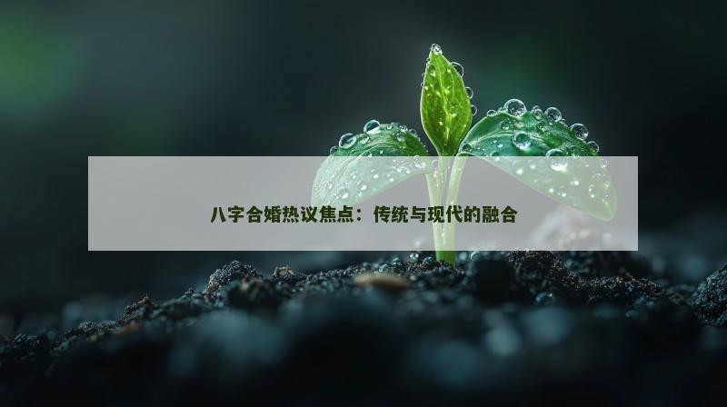 八字合婚热议焦点：传统与现代的融合