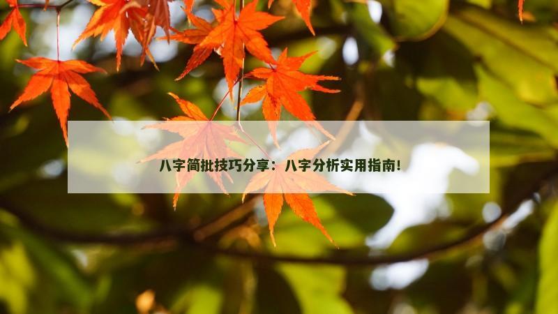 八字简批技巧分享：八字分析实用指南！