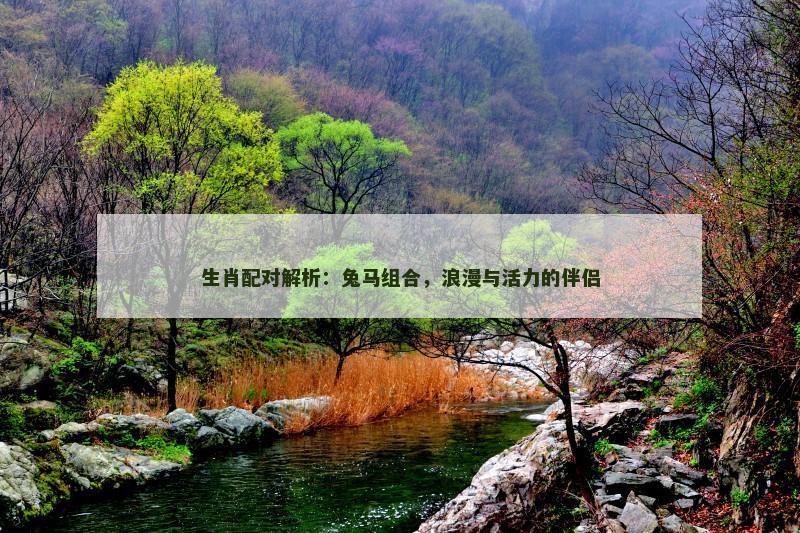 生肖配对解析：兔马组合，浪漫与活力的伴侣